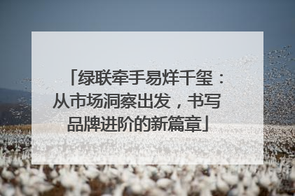 绿联牵手易烊千玺：从市场洞察出发，书写品牌进阶的新篇章